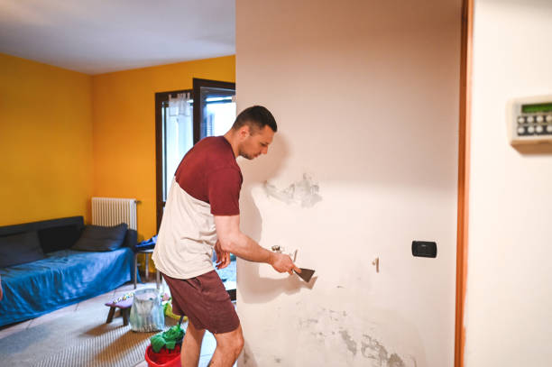 Best Mold Remediation  in Fayetteville, NY